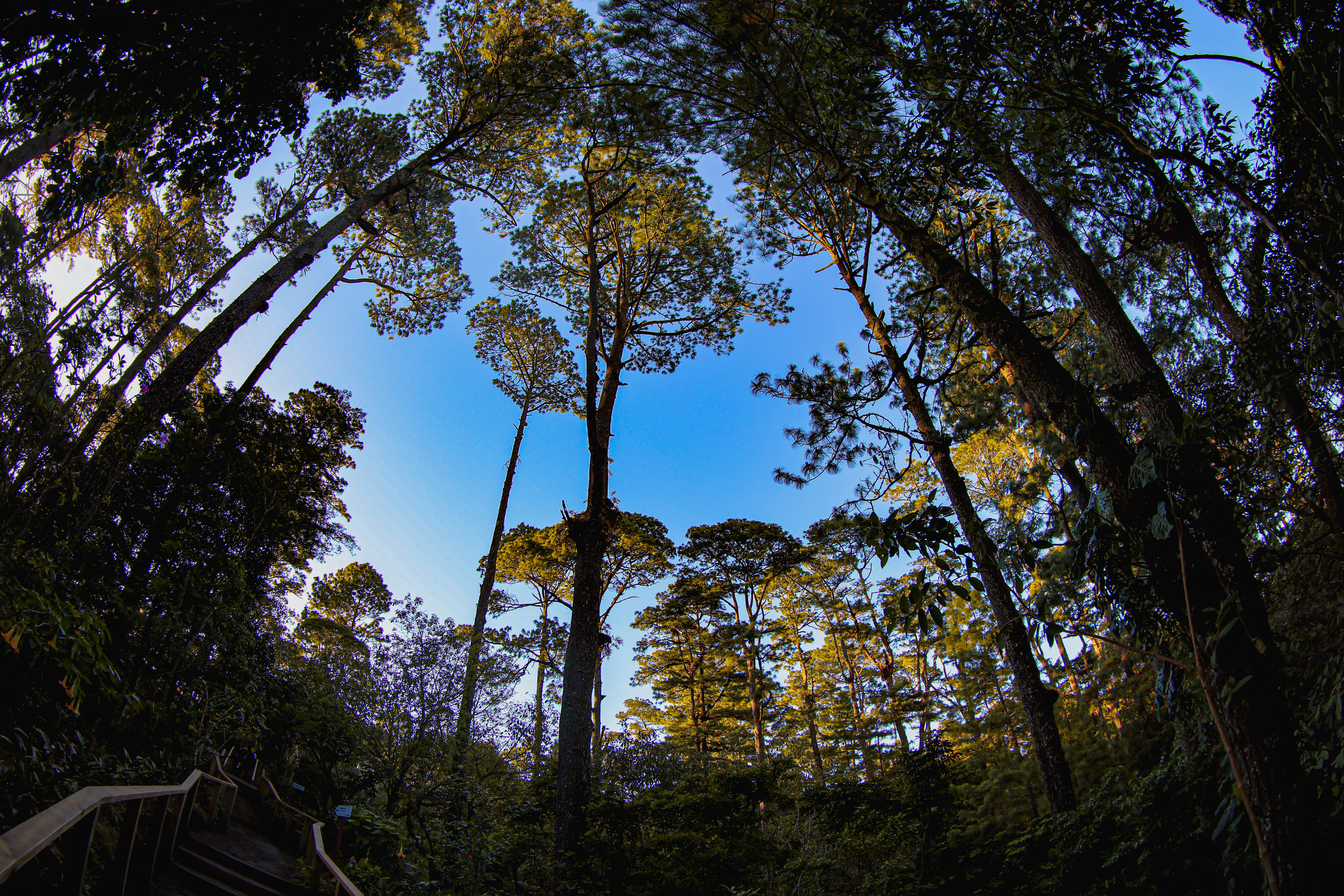 Photo from Parque Nacional El Boquerón